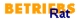 Flugblatt des örtlichen SAP-Betriebsrats SAP D