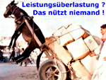 Arbeitsschutztag 2006 - Wir tauschen unsere Erfahrungen aus