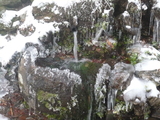 Schneebild