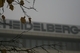 HEIDELDRUCK