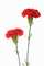 TongRo_ASIA/Panthermedia.net